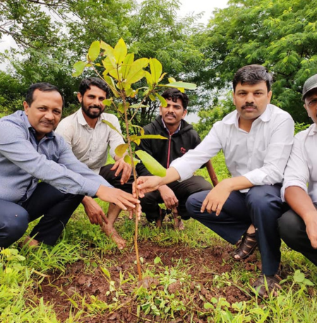 Tree Plantation Program